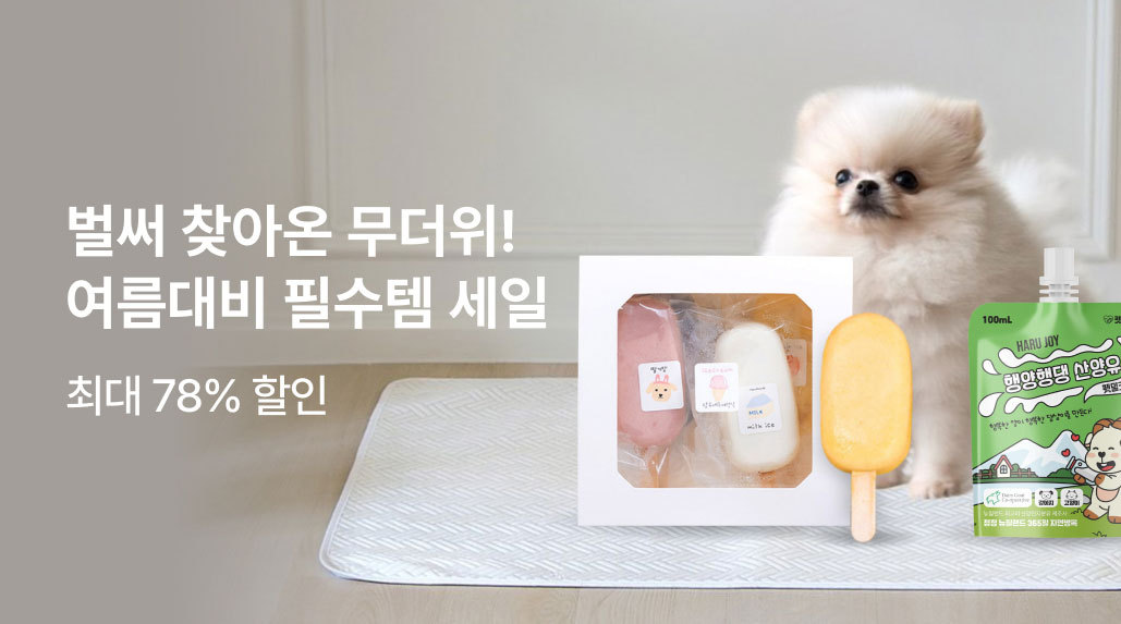 여름대비 필수템